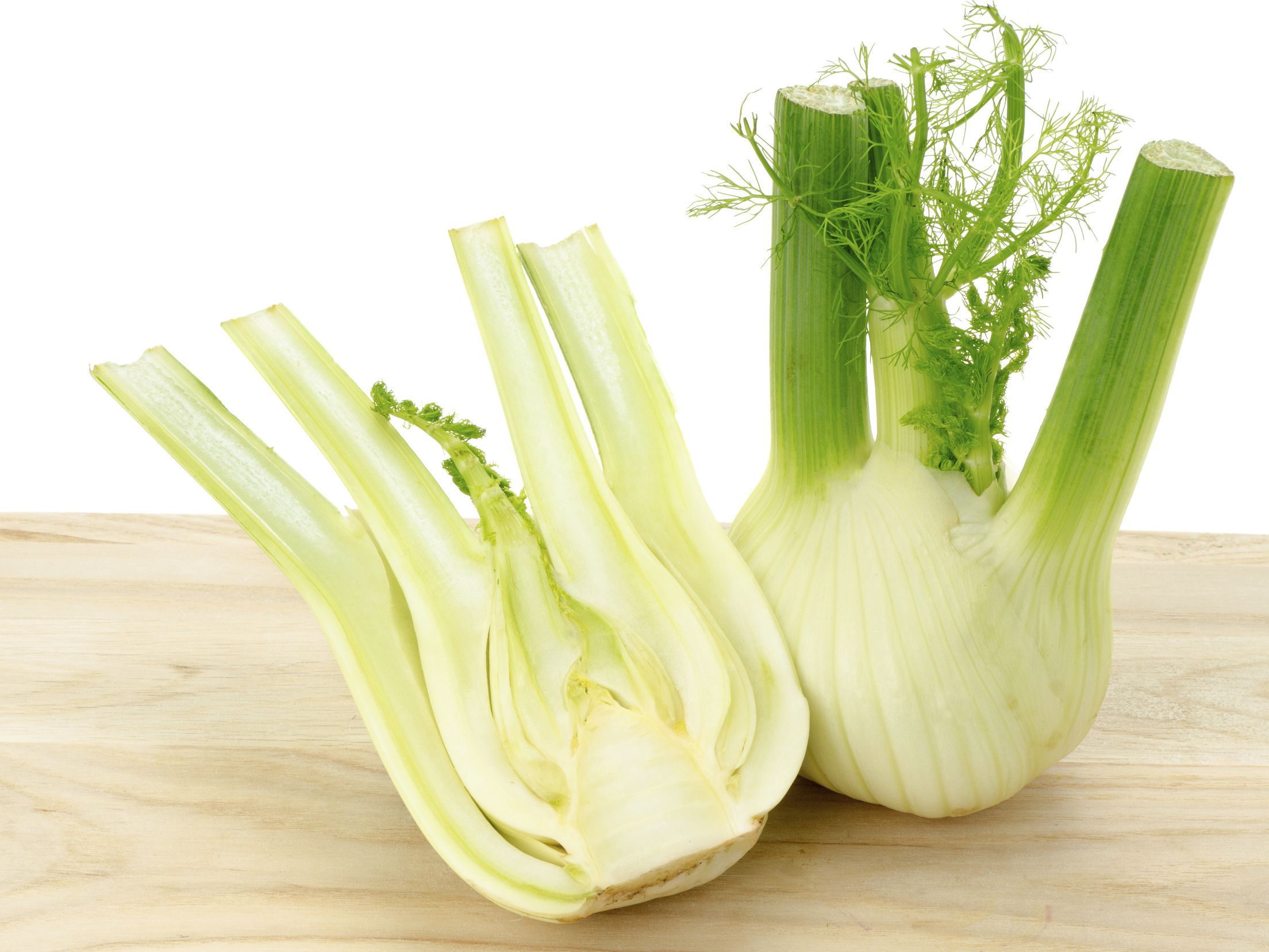 Fennel