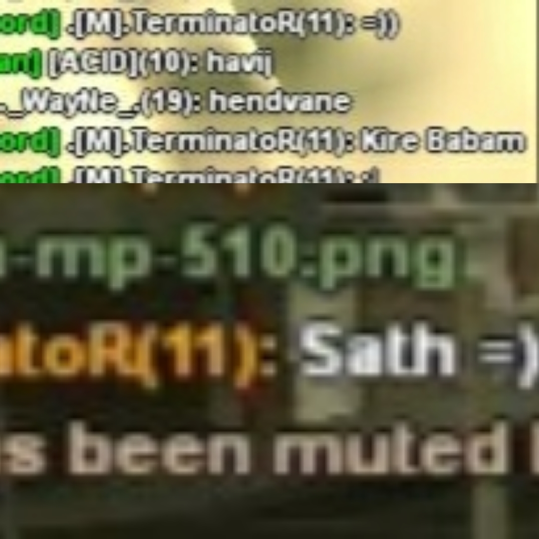 Terminator_1.jpg