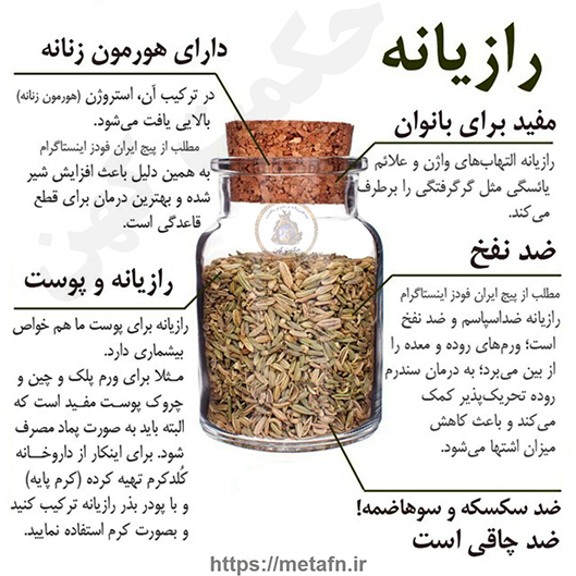 خواص دارویی و درمانی رازیانه یا راجونه در طب سنتی