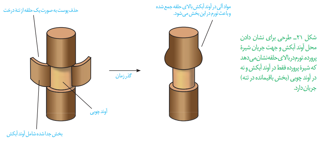 متن جایگزین