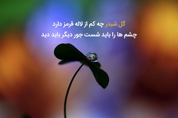 سهراب سپهری