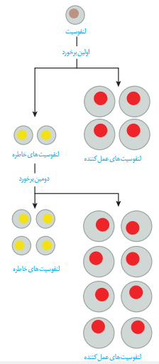 متن جایگزین