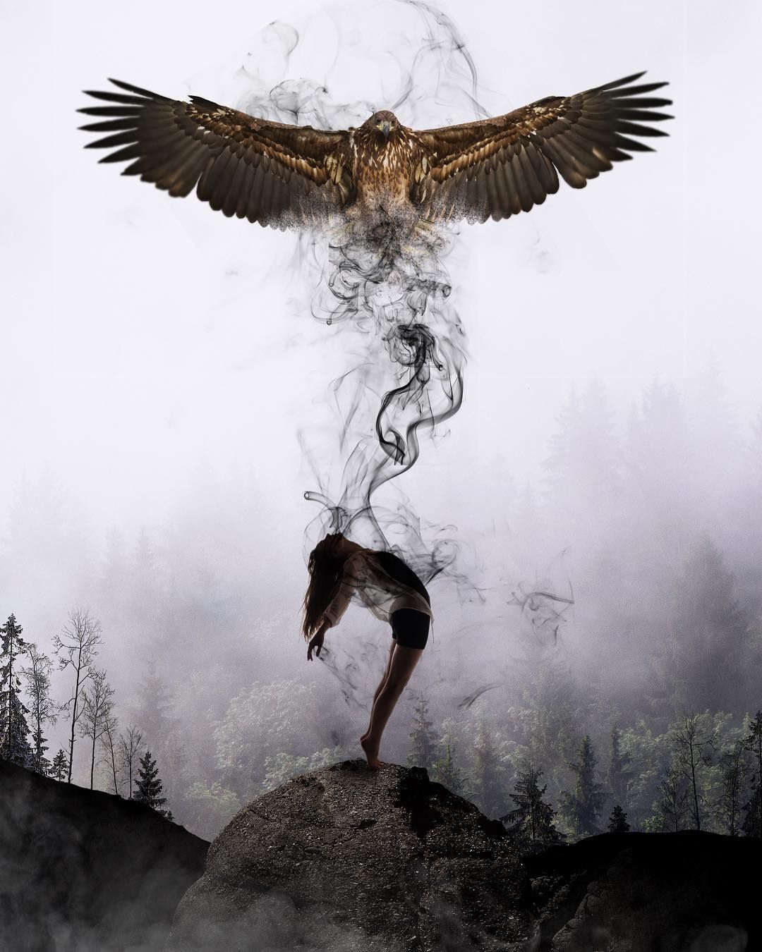 فضای اتاق برای پرواز کافی نبود