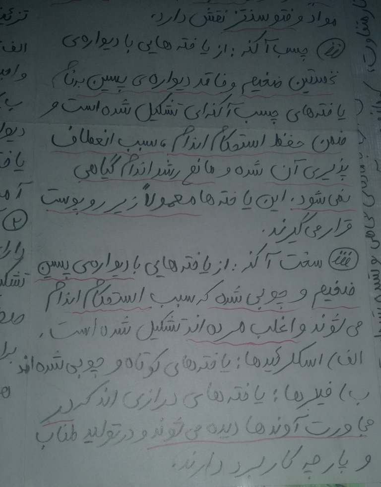 متن جایگزین